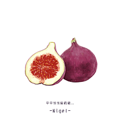 凤梨