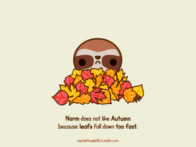 005autumn