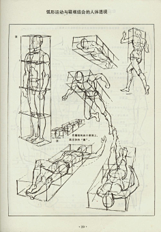 人体动态结构-花瓣网|陪你做生活的设计师 人体素描(1-35页 水木
