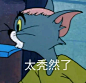 猫和老鼠图片