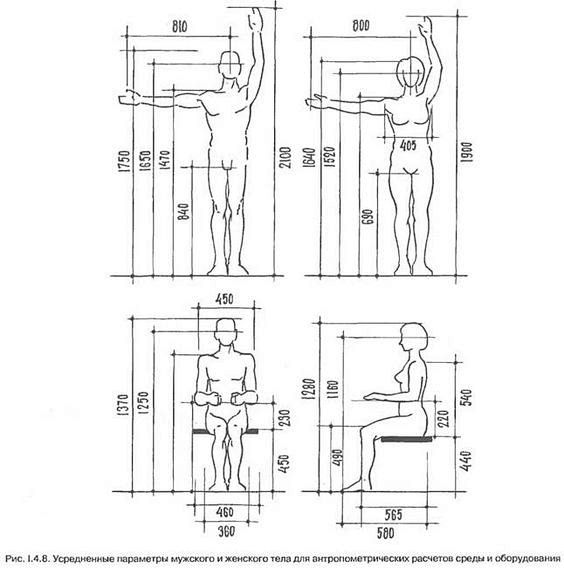 人体各部分关节尺寸人体工程学设计参考