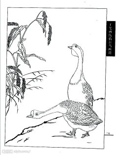 素描线稿