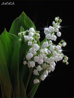 com该采集也在以下画板加载更多