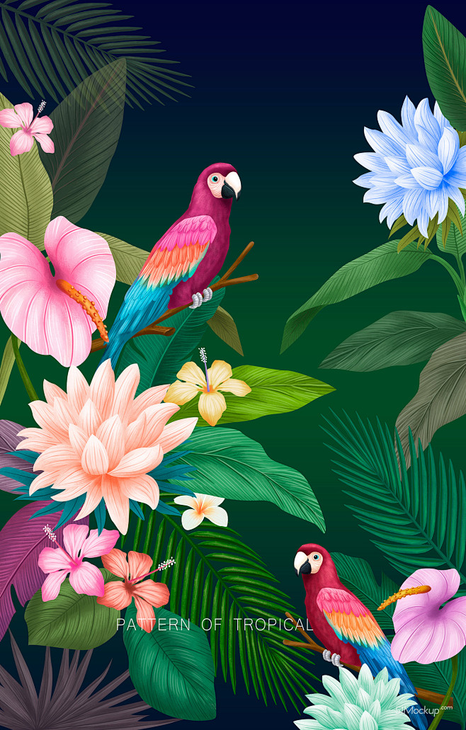 鹦鹉马蹄莲热带植物鲜花夏日主题插画设计psd平面设计绘画插图