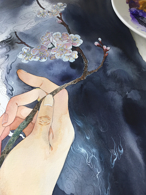 鹿菏