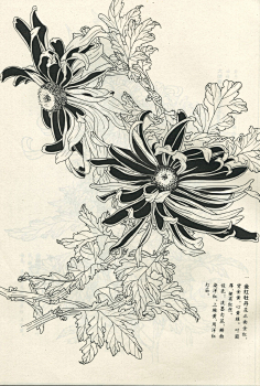 古风