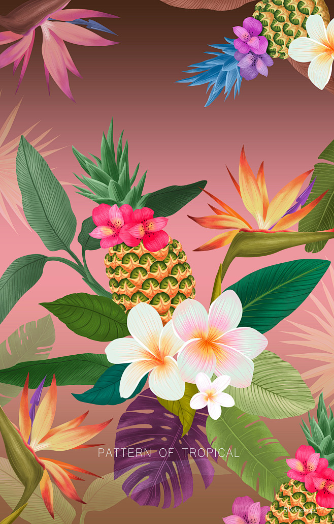 热带植物菠萝凤梨花卉夏日主题插画设计psd平面设计绘画插图