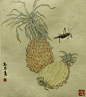 菠萝素描画