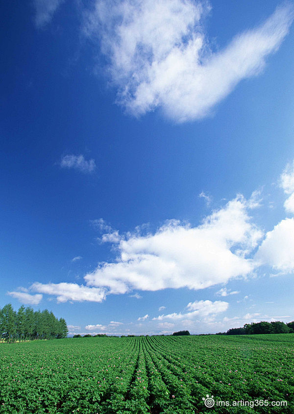 广阔天空风景