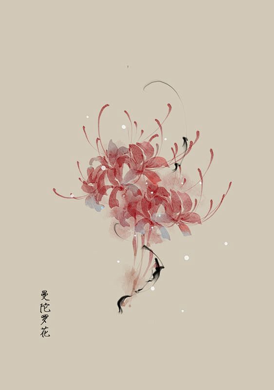 曼陀罗花