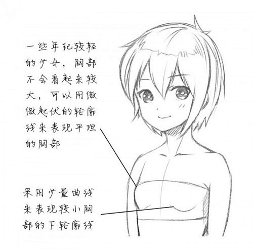 女性胸部怎么画好看女生的胸部画法女人胸部漫画绘画技巧卡通画教程