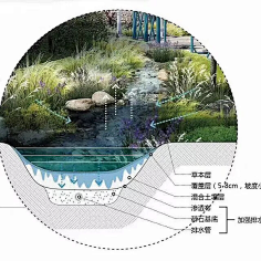 园林景观雨洪管理剖面分析