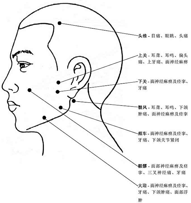 头部穴位和穴位功能主治说明