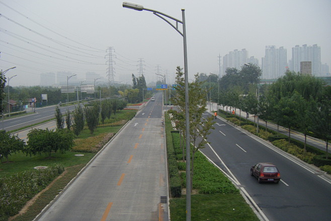 17:54:55道路绿带摄影-植物造景库姬木香该采集也在以下画板加载更多