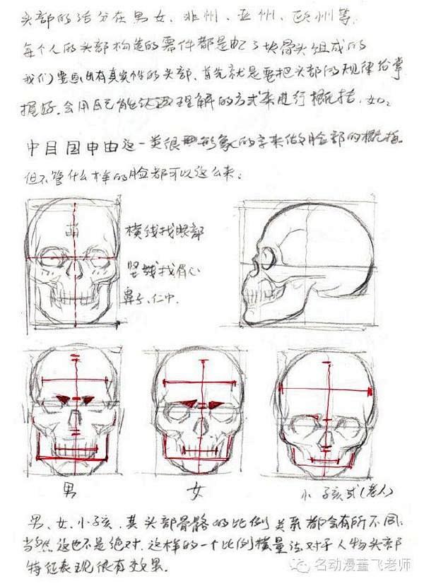 头部结构及透视的画法解析吊炸天搜狐