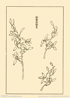 芥子园画谱国画