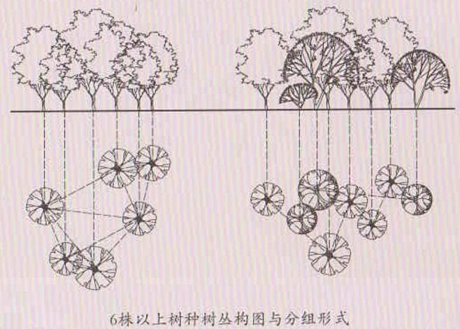 植物种植法则孤植丛植群植花镜你了解多少