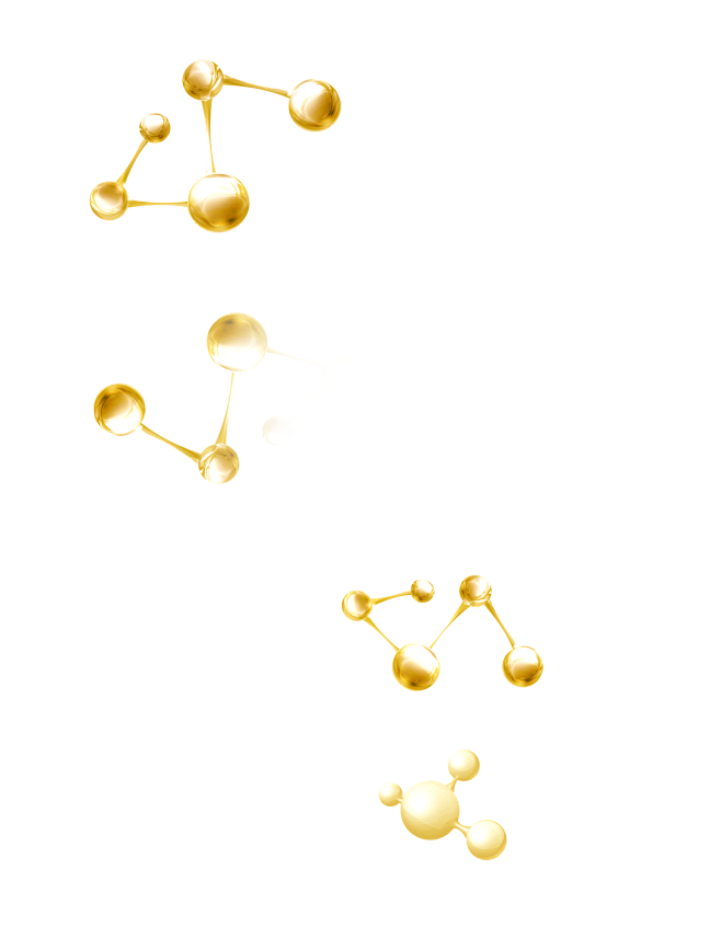 分子dna