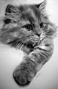 插画手绘