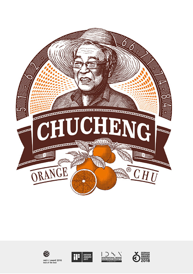 褚橙chusorange橙子包装设计