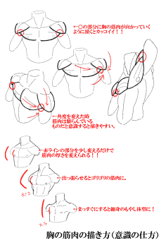 人体结构