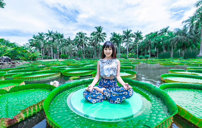 王莲