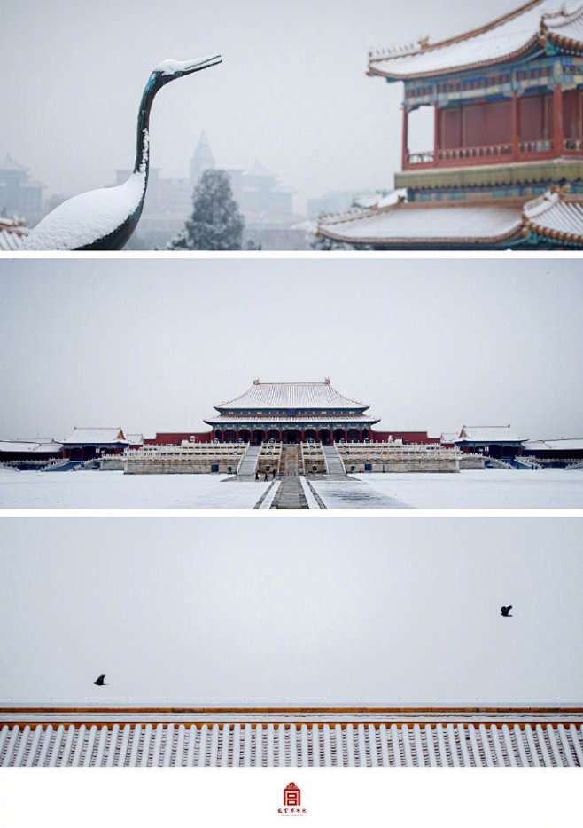 北京下雪何时杖尔看南雪我与梅花两白头67676767