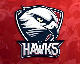 hawkslogodesignlogoforasportsteamcanusethefootballteambasketball