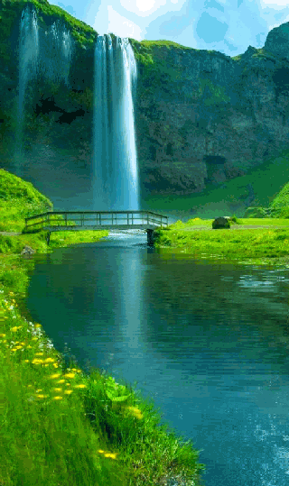 320_539竖版 竖屏gif 动态图 动图