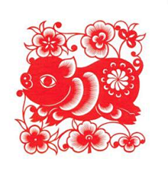 落落无尘2232在江湖采集到猪