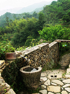 乡村景观-花瓣网|陪你做生活的设计师 竹林图片