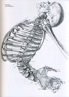 涂鸦画技人体结构参考