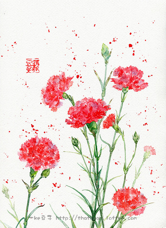 康乃馨水彩画
