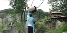 xmarks采集到gifsfunny2