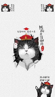 吾皇巴扎黑