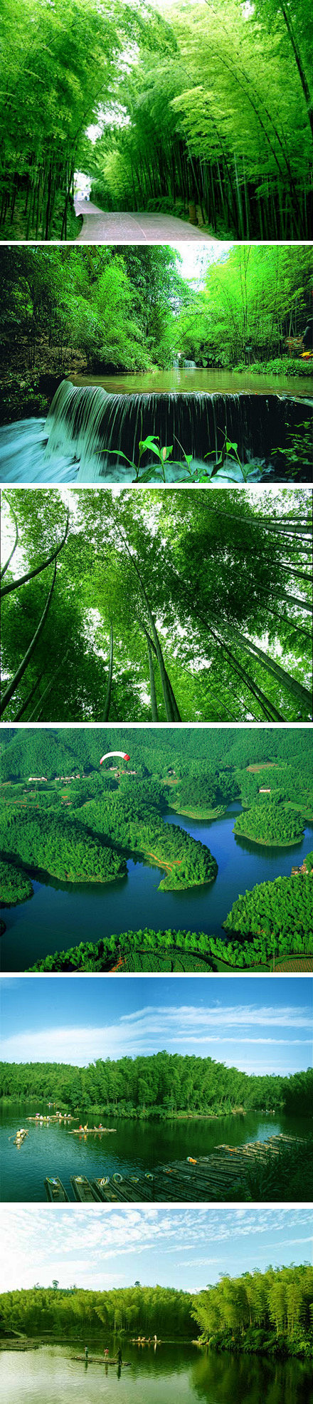 宜宾竹海历史悠久的人文景观最大原始绿竹公园植被覆盖