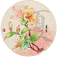 【涂鸦王国】 【二十四节气】 【夏至】 绘画:樂兮几回阑珊采集到花姿