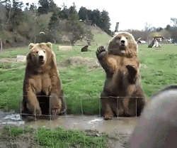 250_208gif 动态图 动图