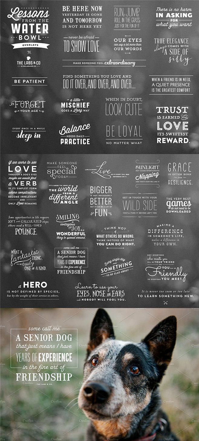 英文短句文字排版png免抠素材