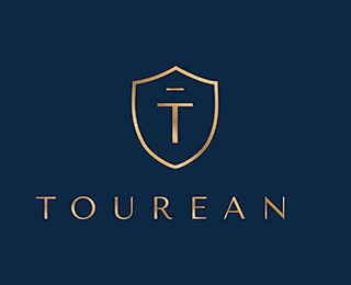 风险资本公司logo盾牌标志t字母标志跨国公司logo