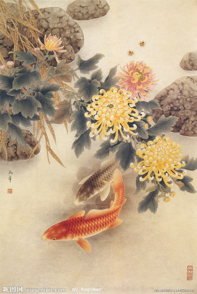 工笔花鸟菊花