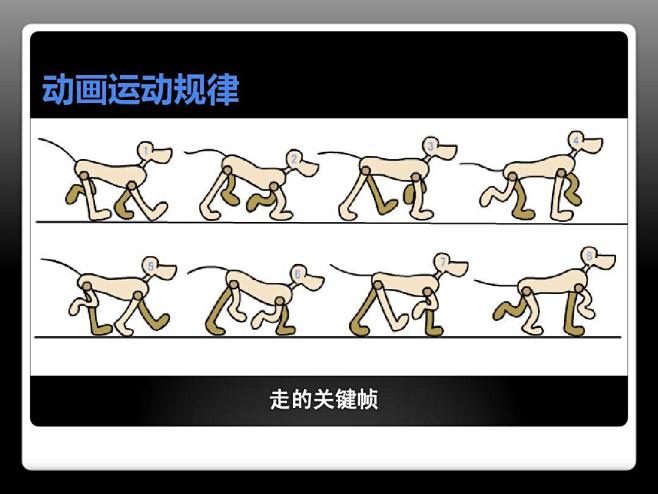 动画运动规律动物