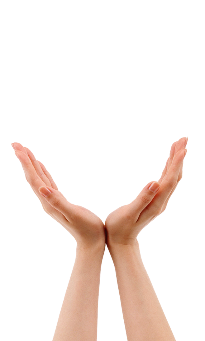 懵懂的小朋友从魔稻祖师转采于2021-08-10 08:53:20#手势#png-手,手势