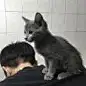 重生之我在北京当牛马