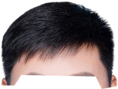 采集企鹅去那了采集到最美证件照1证件照素材五官眉毛素材五官素材8