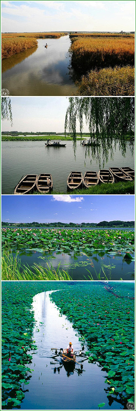 河北白洋淀河北白洋淀是海河平原上最大的湖泊那里四季景色分明水光