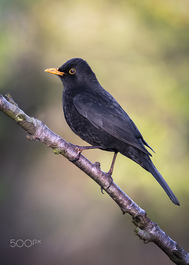 nv湋斧u細澻浐賌畨jq