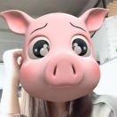 一头有理想的🐷
