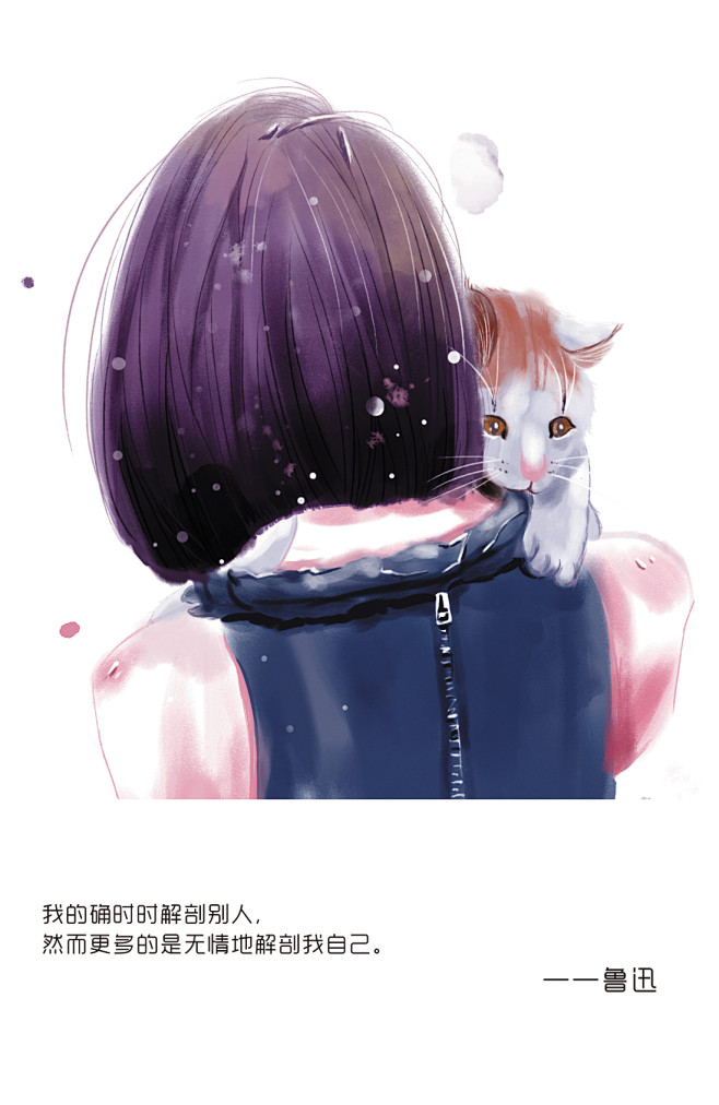 背影猫
