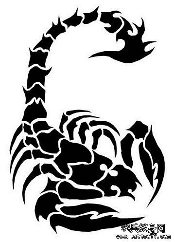 武汉最好的纹身店推荐一组图腾蝎子纹身图案武汉纹身店之家老兵纹身店